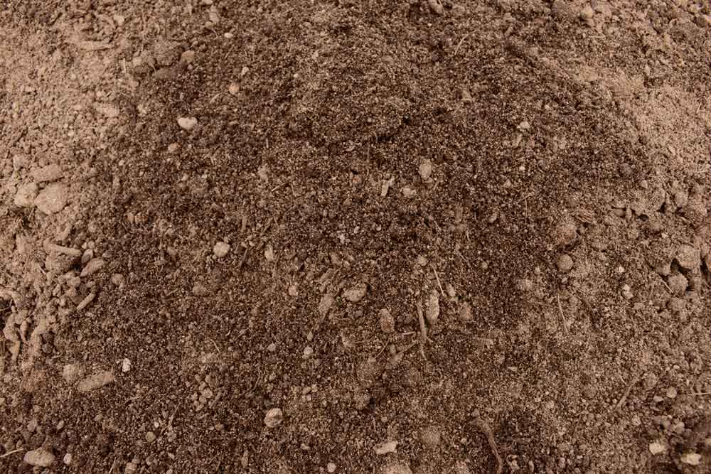 Hasselfors Trädgårdsjord E mineralgödslad - Bild 3