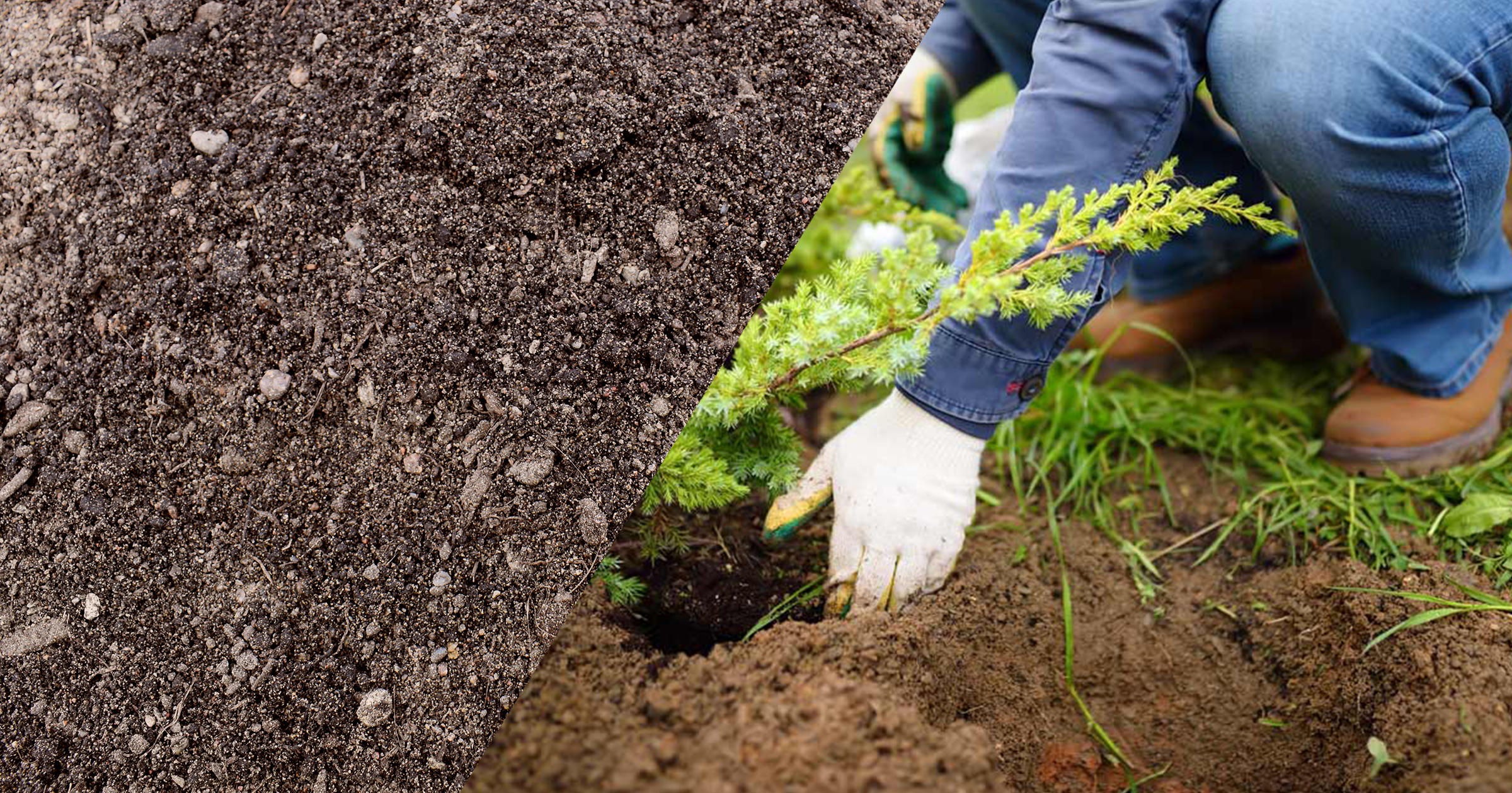 Hasselfors Trädgårdsjord E mineralgödslad